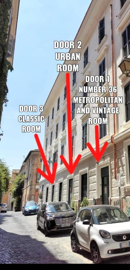 Trastevere Glasshouse Rome Bagian luar foto